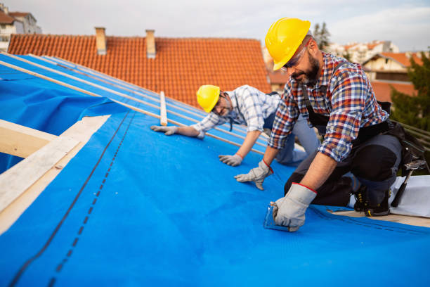 Best Roof Gutter Cleaning  in East Providence, RI