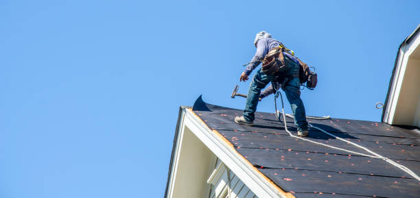 Best Roof Gutter Cleaning  in East Providence, RI